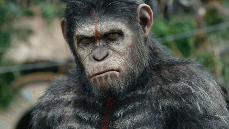 Wes Ball svilupperà e dirigerà il nuovo film de “Il Pianeta delle Scimmie”