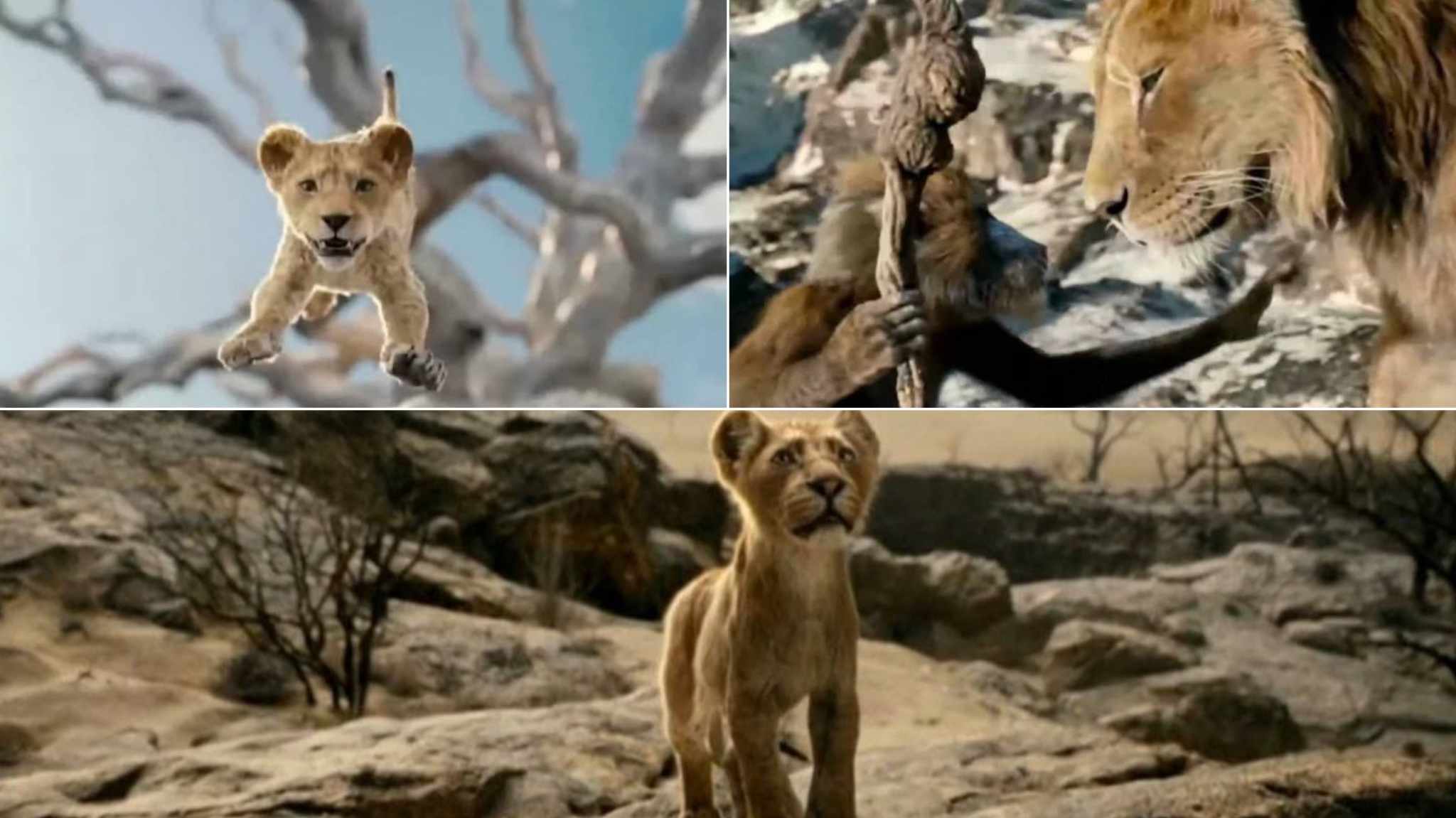 collage immagini mufasa the lion king