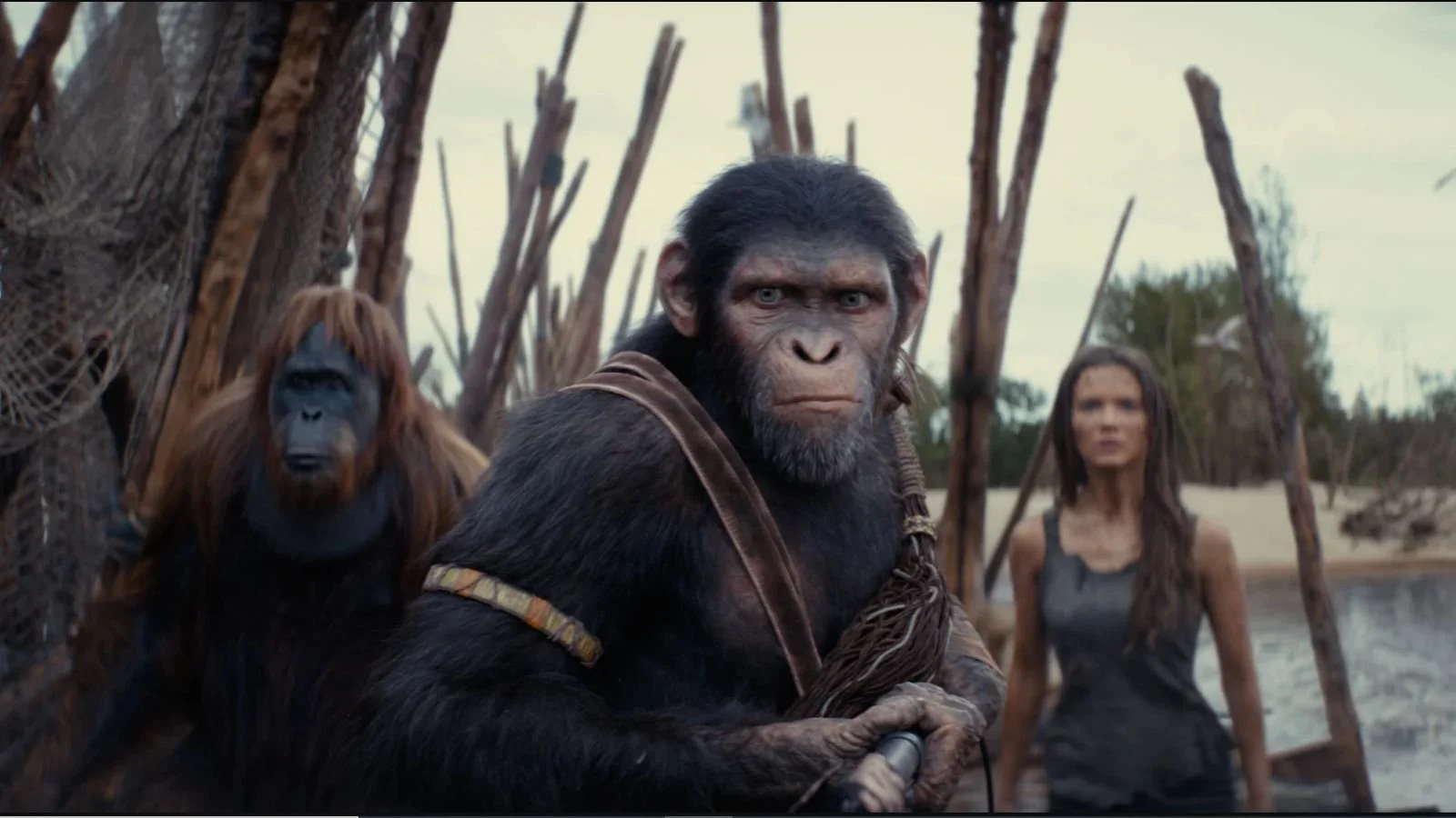 scena film il regno del pianeta delle scimmie