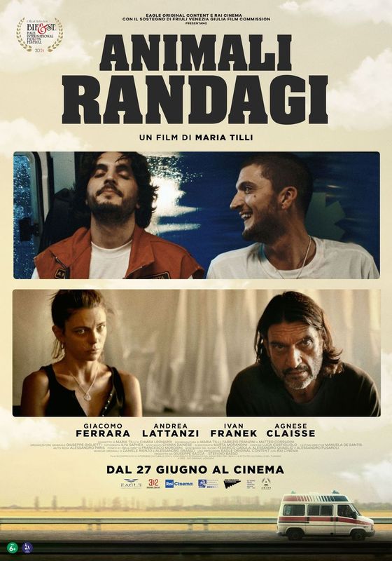 poster animali randagi