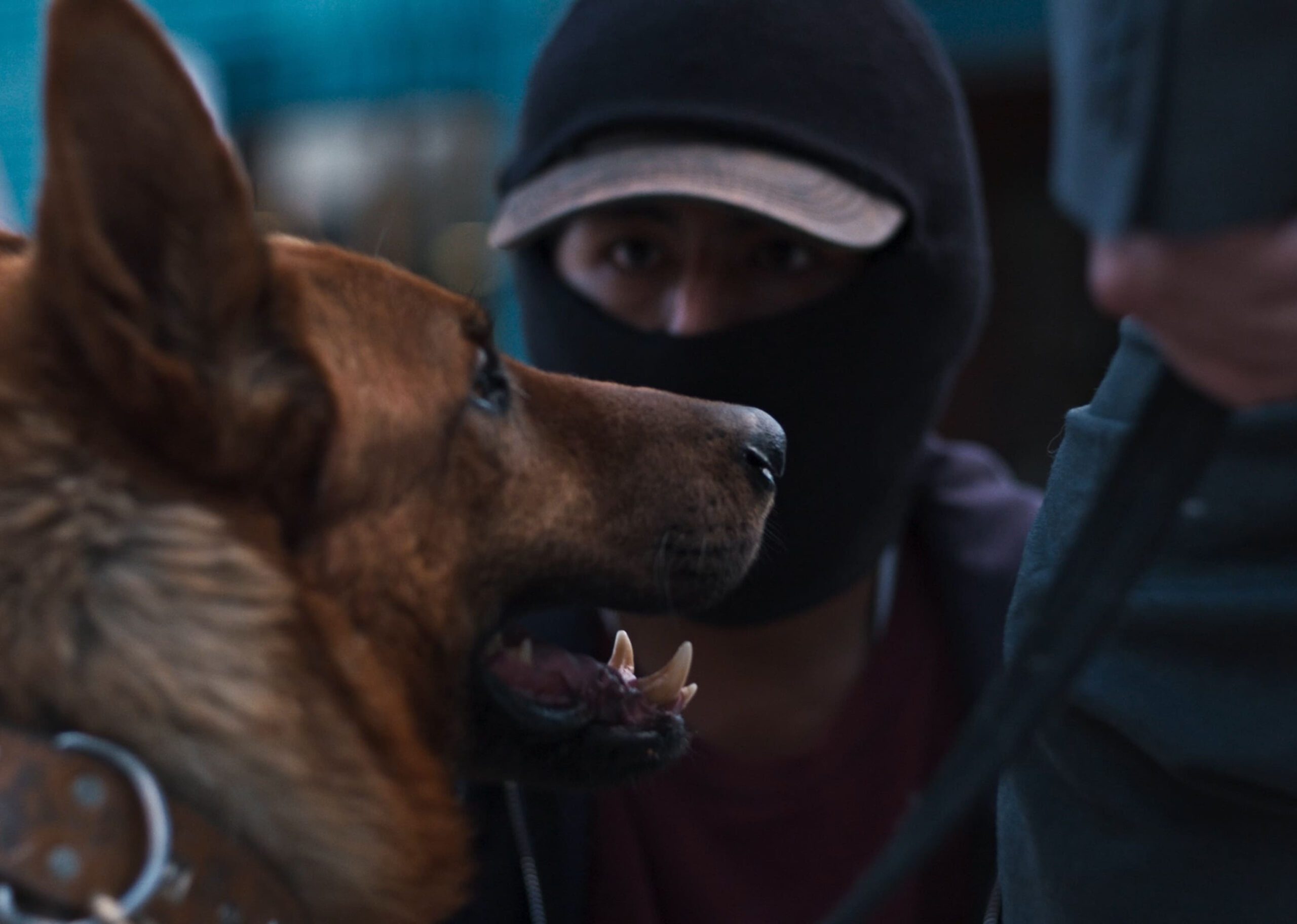 EL LADRÓN DE PERROS (LADRO DI CANI): il poster del film al cinema dal 26 settembre