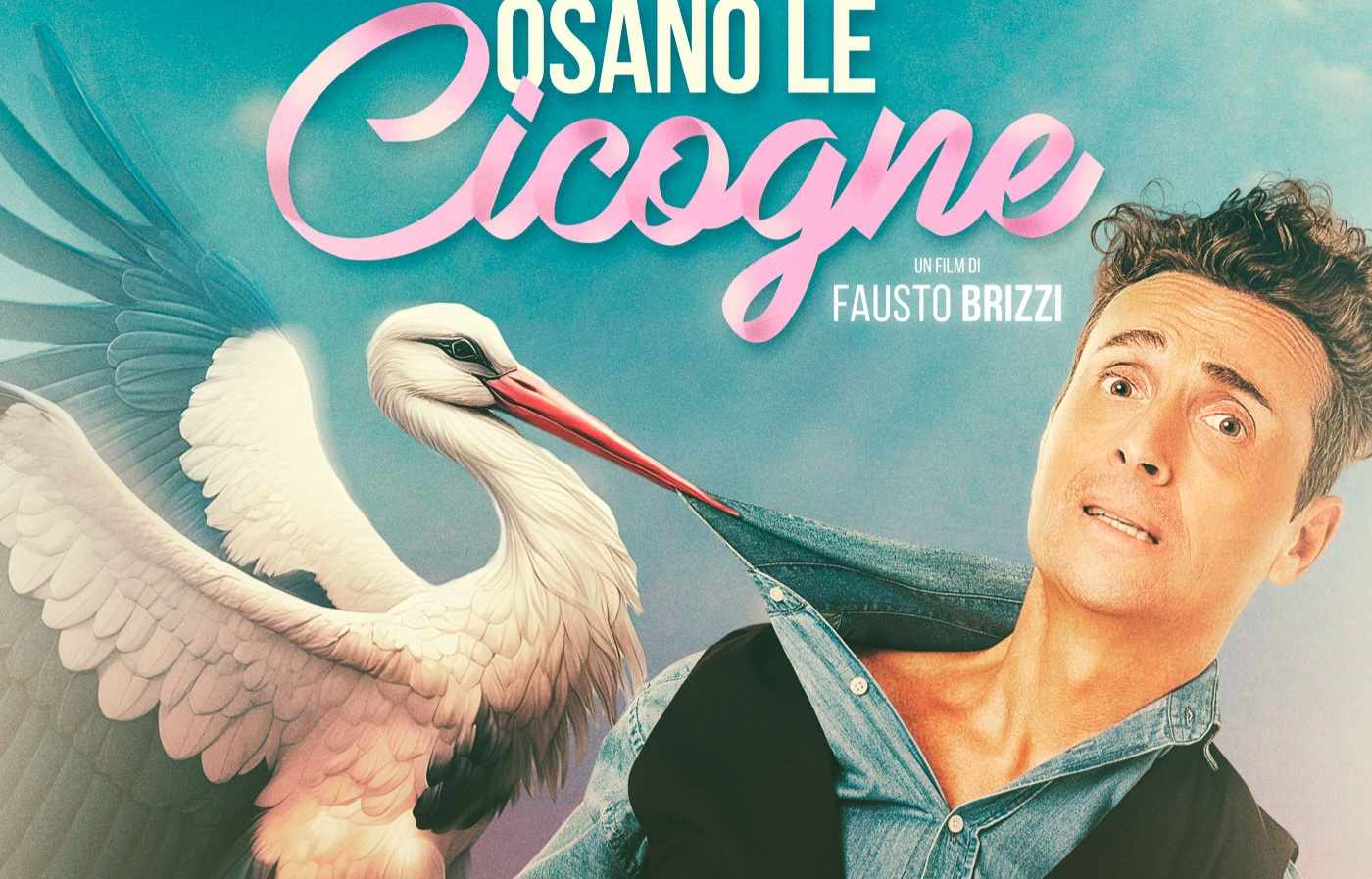 cover teaser poster dove osano le cicogne