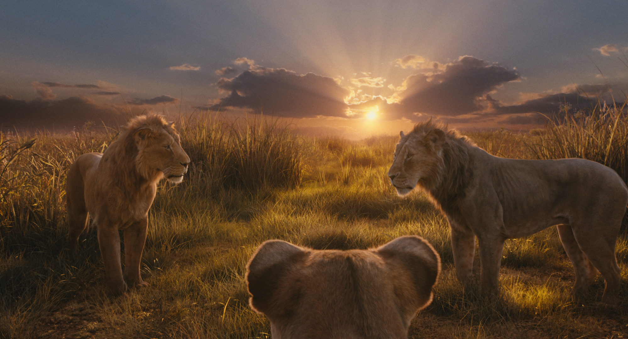 Mufasa: Il Re Leone: il final trailer del nuovo film Disney