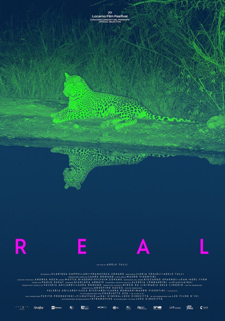 poster film real