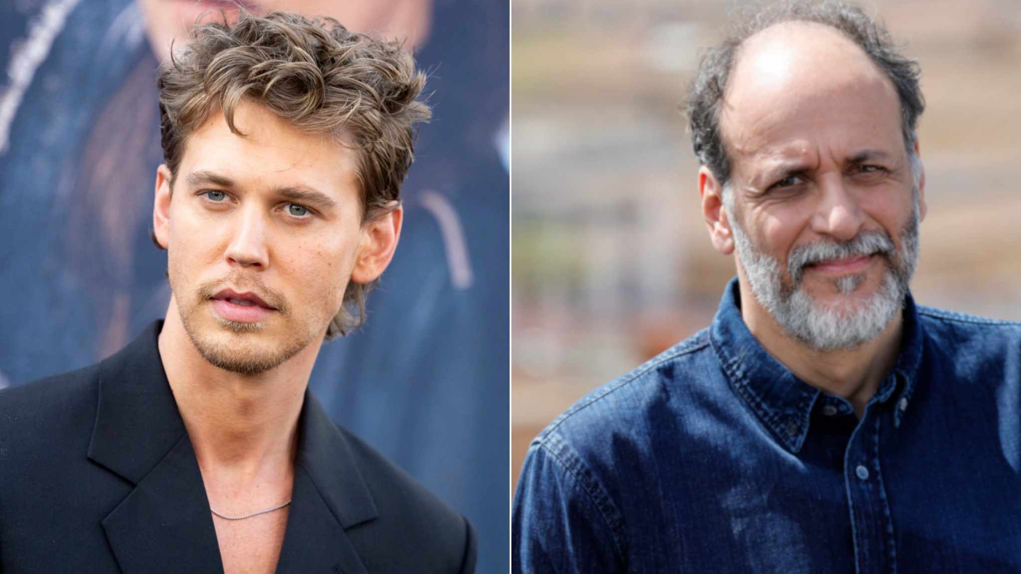 cover immagini Austin Butler e Luca Guadagnino