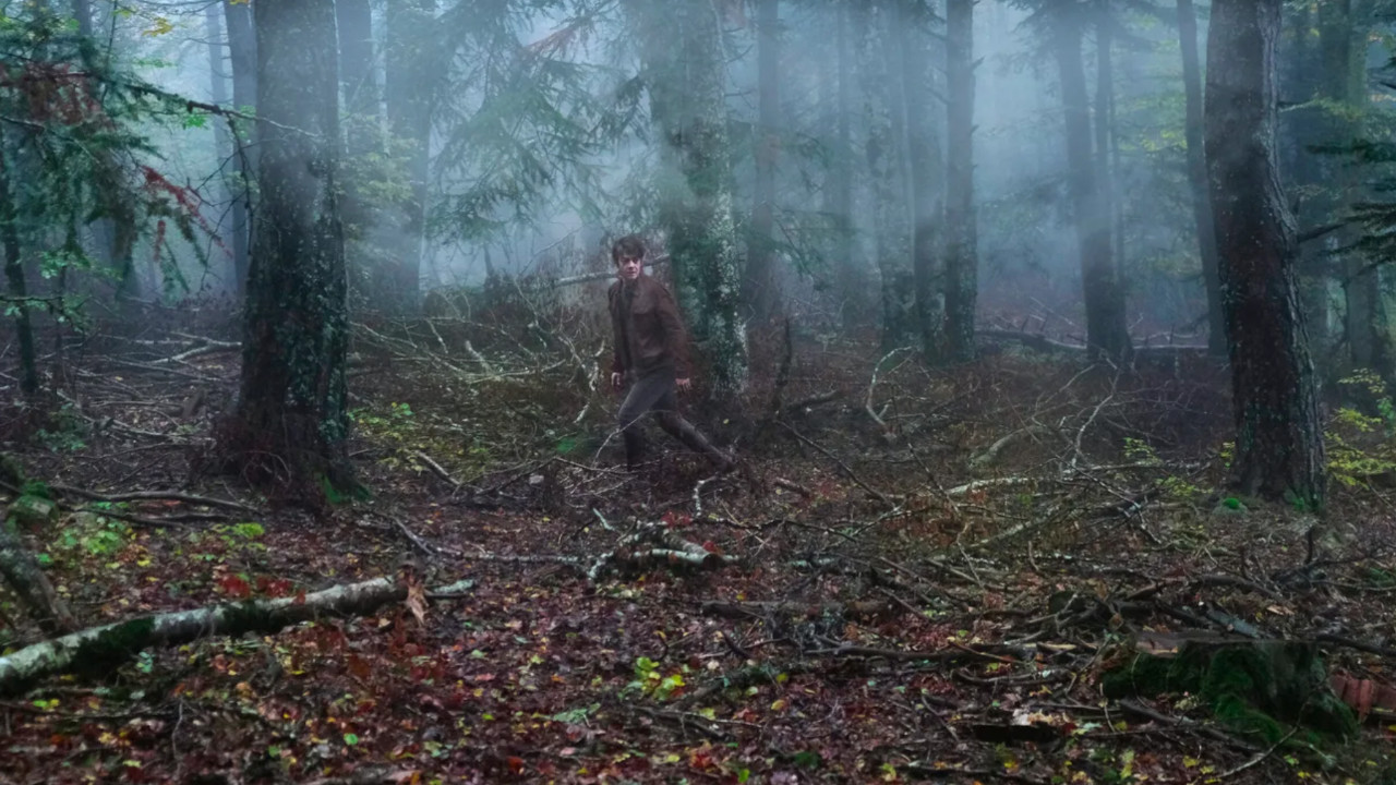 immagine L'uomo nel Bosco