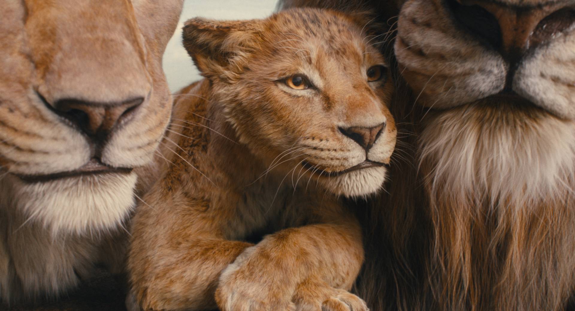 nuova immagine mufasa: il re leone