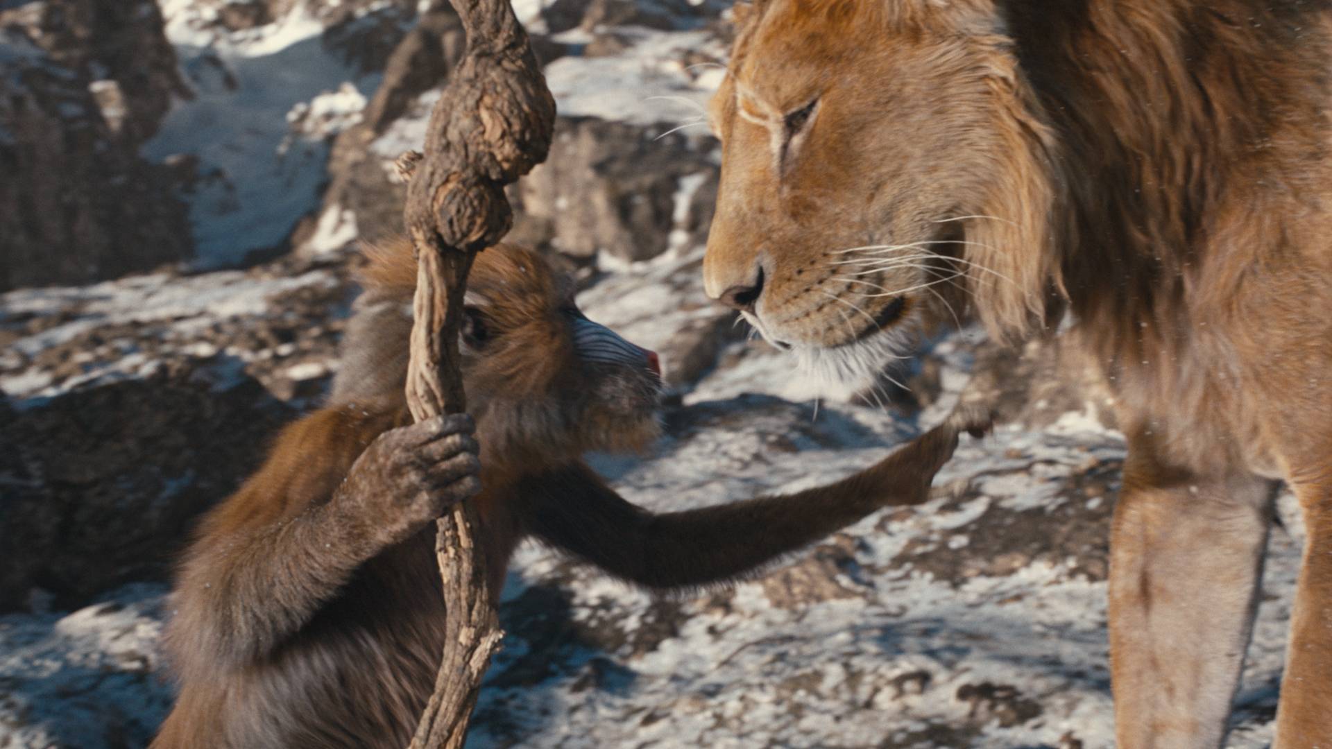 immagine mufasa: il re leone