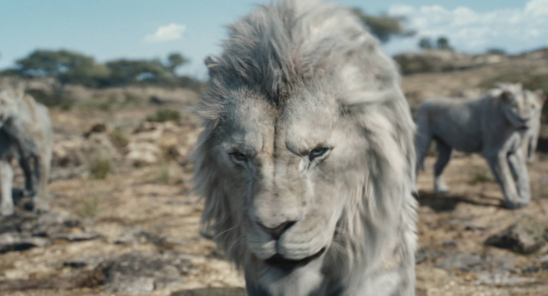 nuova immagine mufasa: il re leone