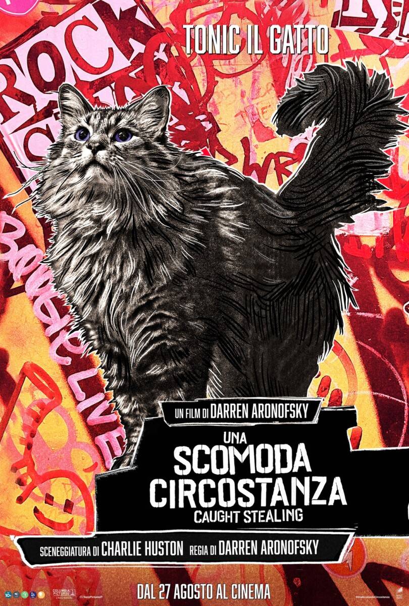 una scomoda circostanza - caugth stealing character poster