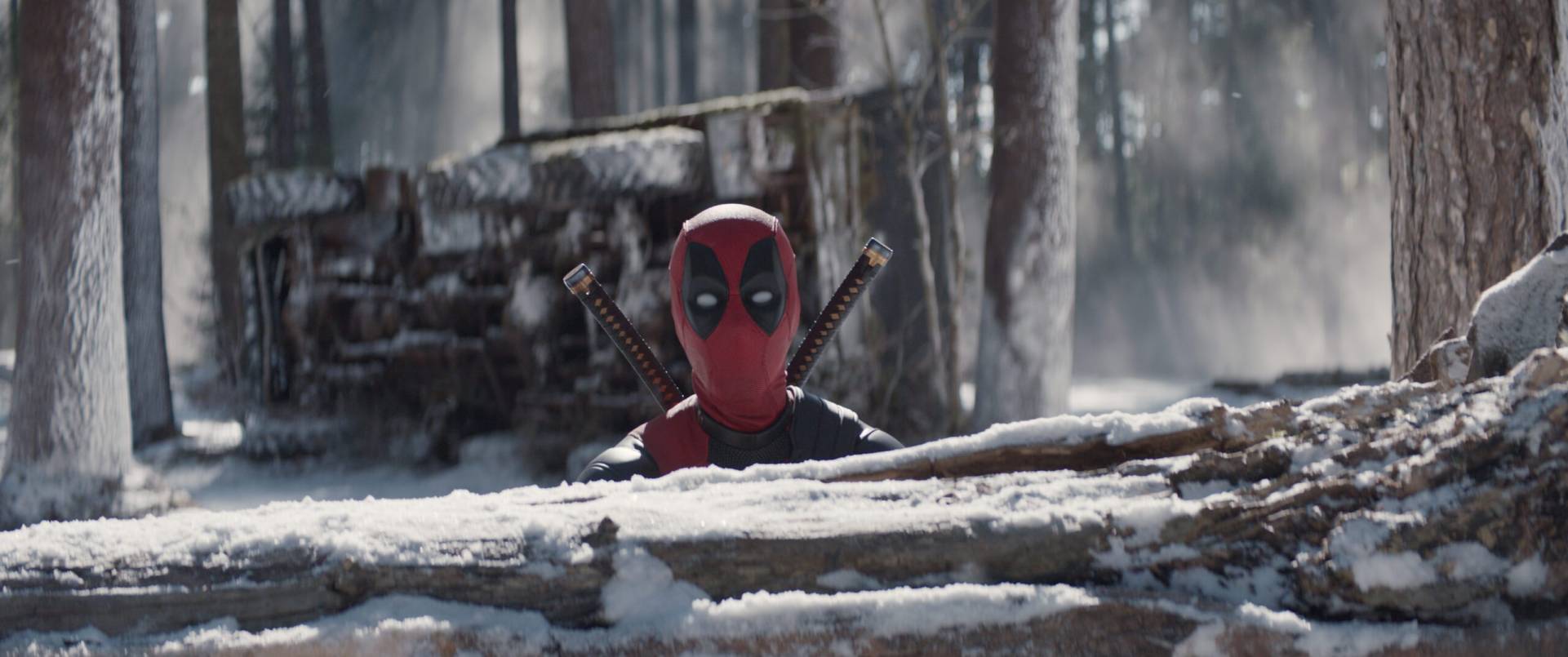 immagine Deadpool & Woverine