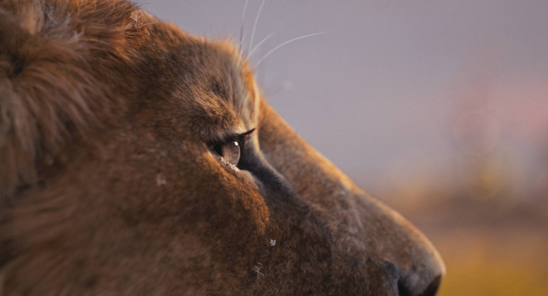 nuova immagine mufasa: il re leone