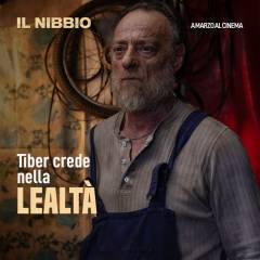 Il Nibbio - 5 poster