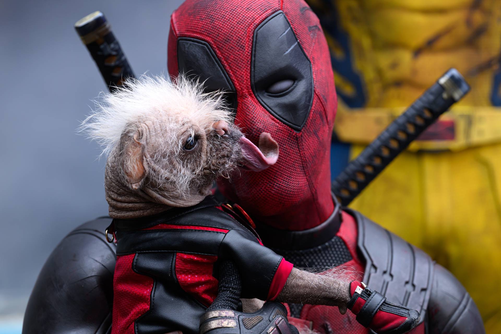 immagini ufficiali deadpool & wolverine