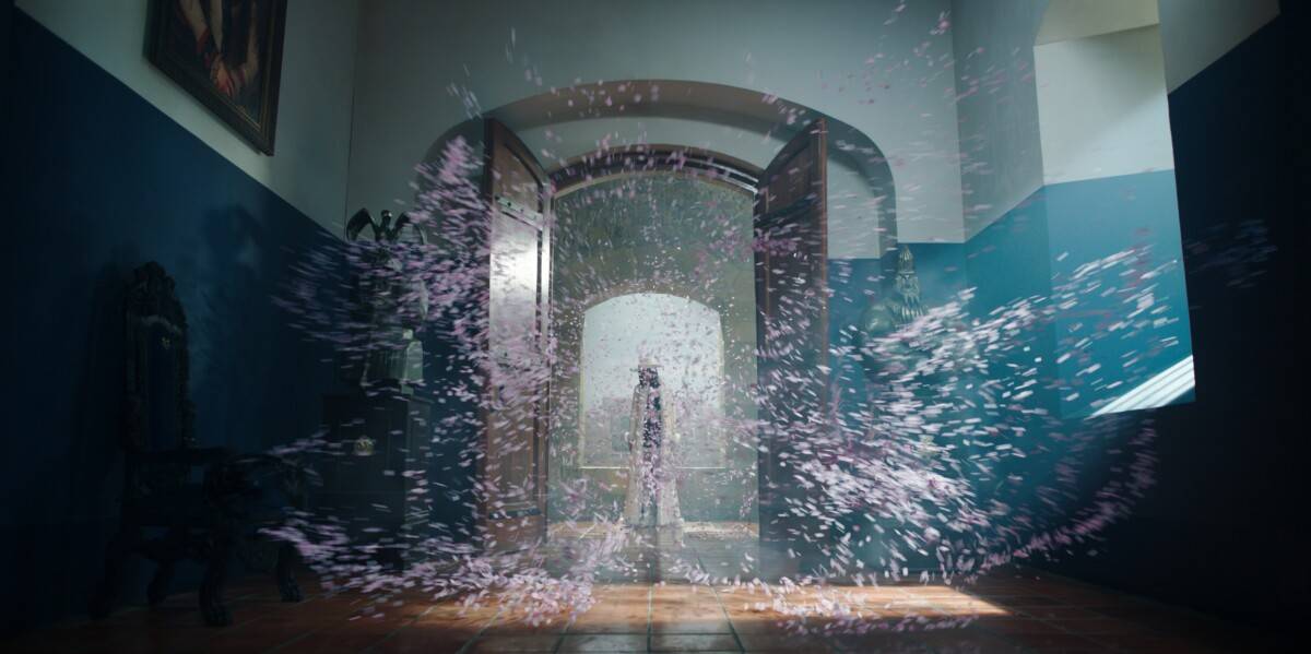 immagine one piece seconda stagione