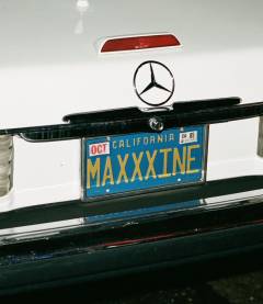 maxxine set 2