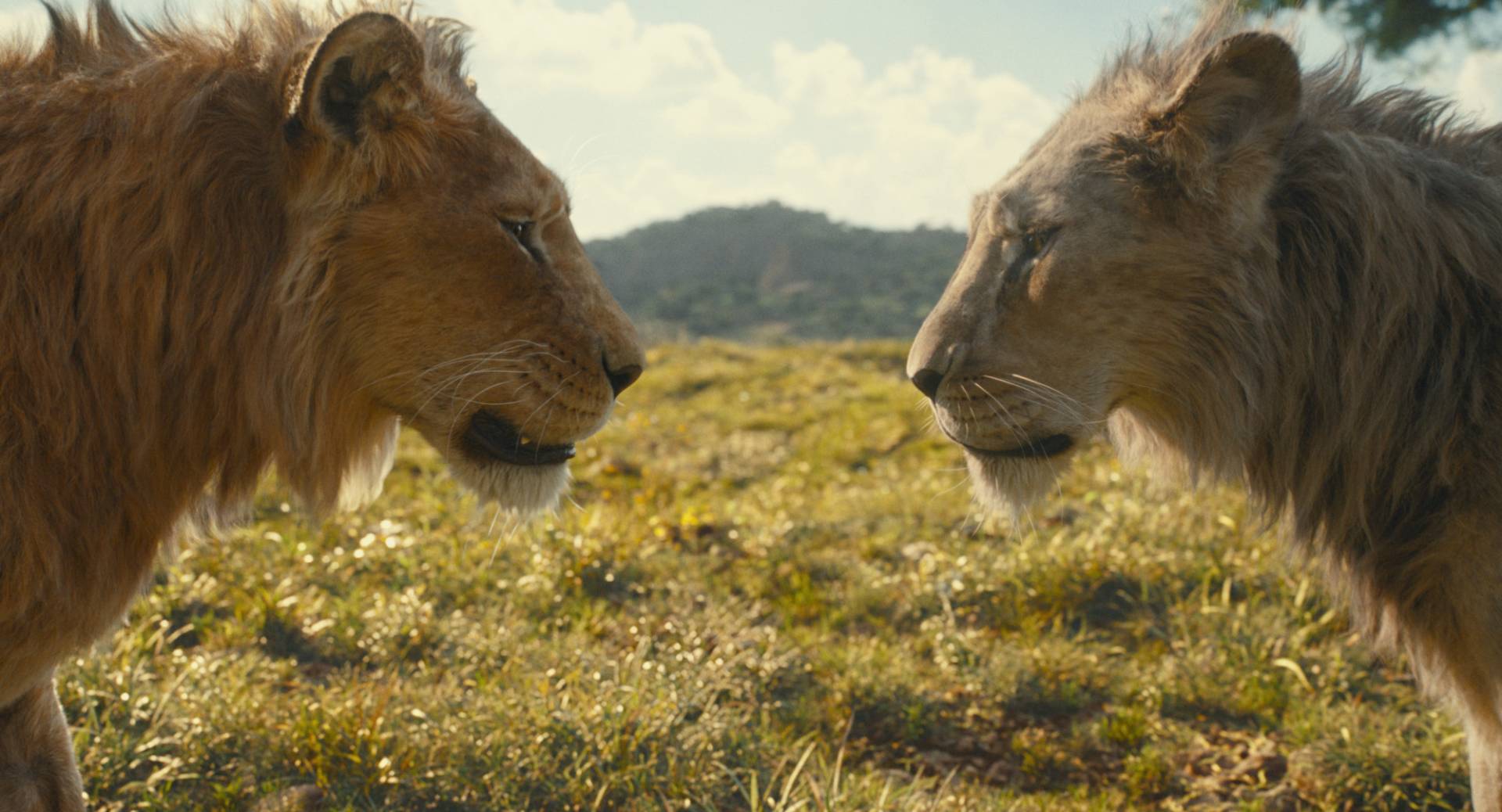 nuova immagine mufasa: il re leone